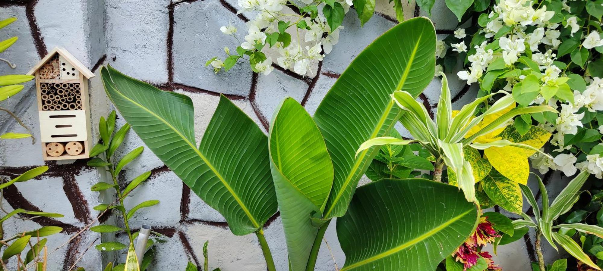 R Garden Villa Au Calme De Baie Du Tombeau, Appartement Familiale De 3 Chambres Et Cuisine Ngoại thất bức ảnh